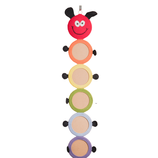 Crochet Caterpillar Hanging frame