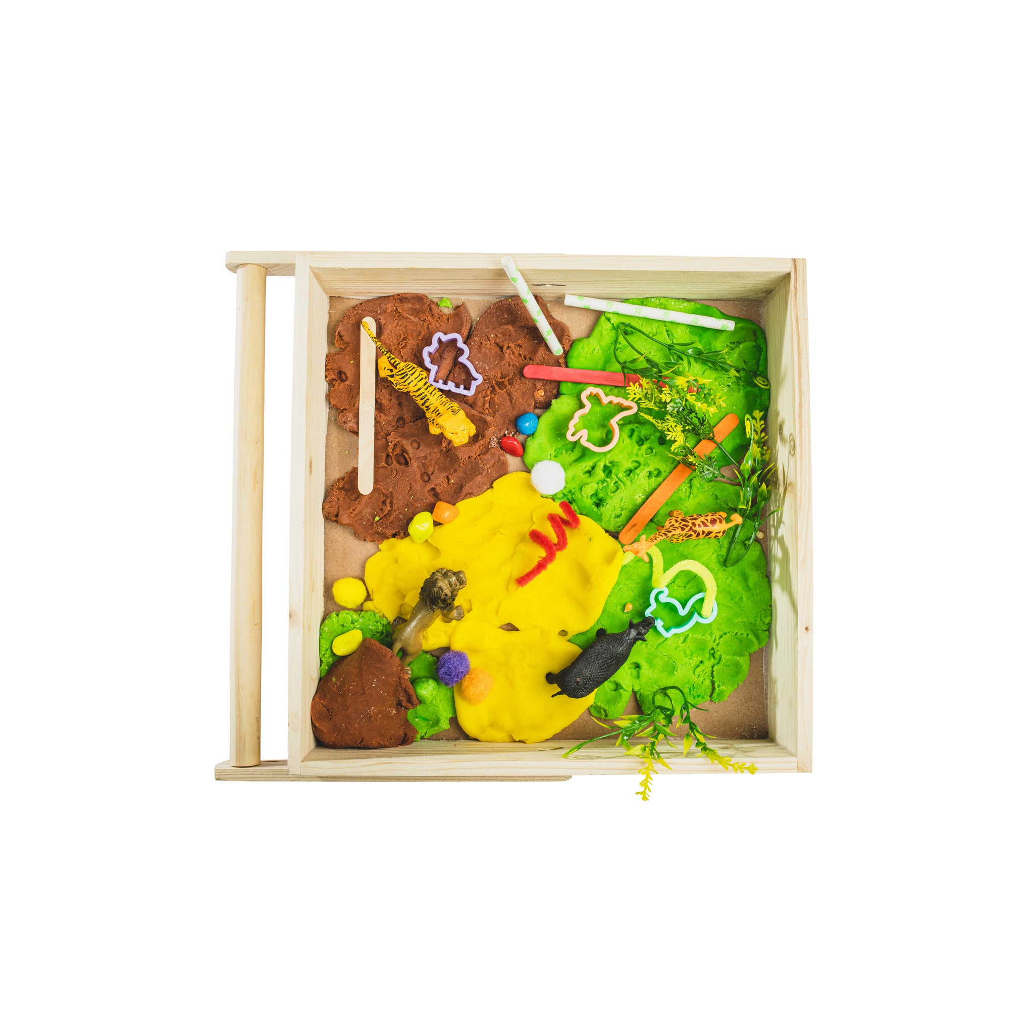 Top view display of jungle sensory playdough kit